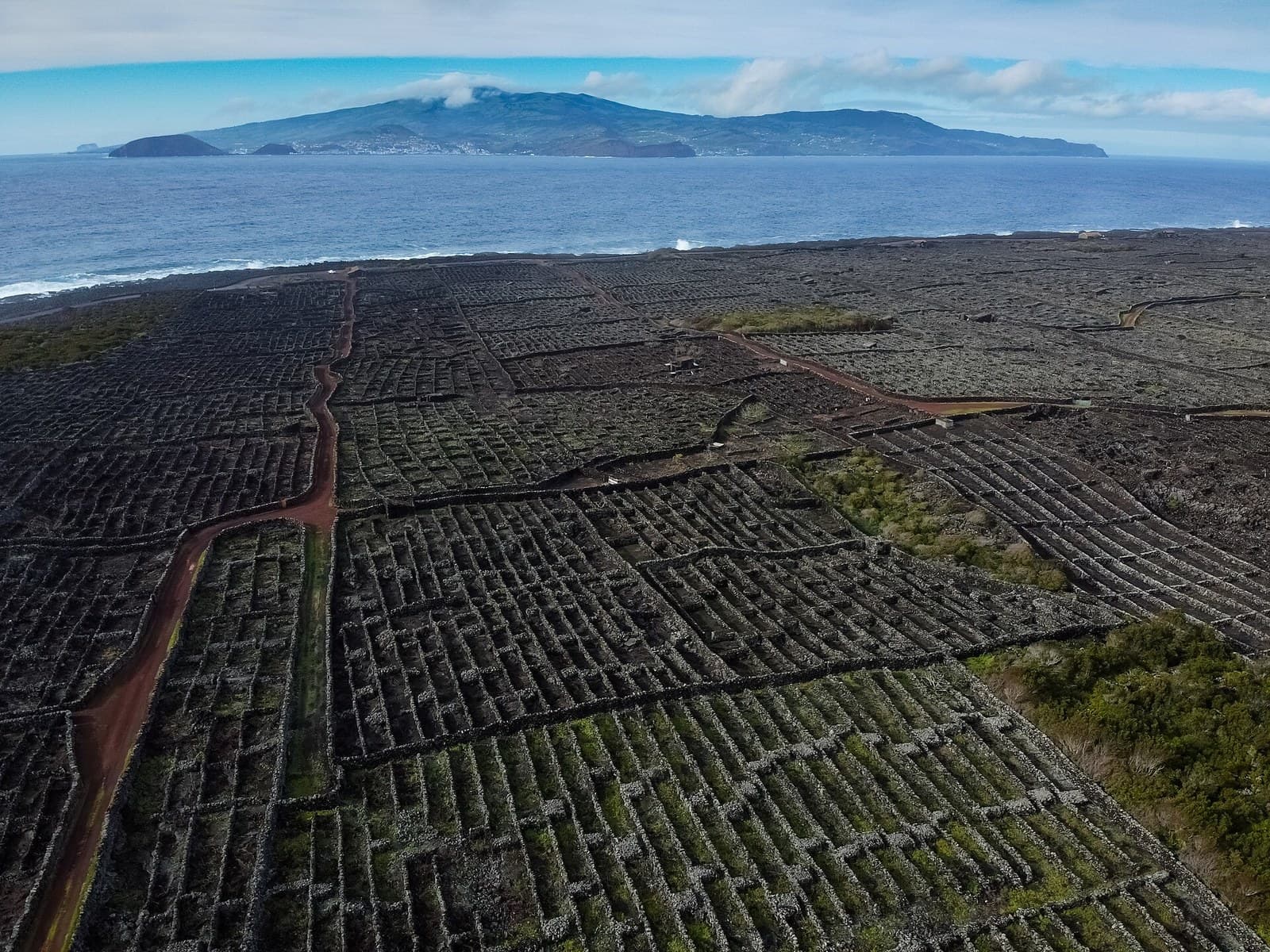The vineyard landscape at Lajido da Criação Velha on Pico Island, a grid of small rectangular plots walled in black lava stone running down to the sea, with the island of Faial across the channel