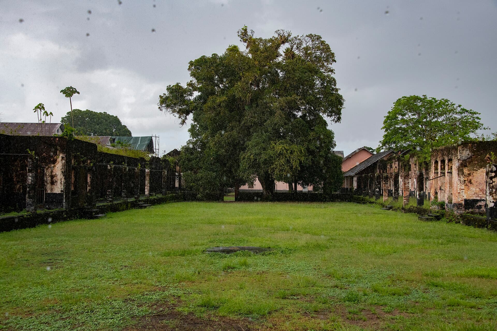 The grass courtyard of the Camp de la Transportation at Saint-Laurent-du-Maroni, French Guiana, with roofless stone cell blocks running down both sides and a large tree at the far end, photographed in rain