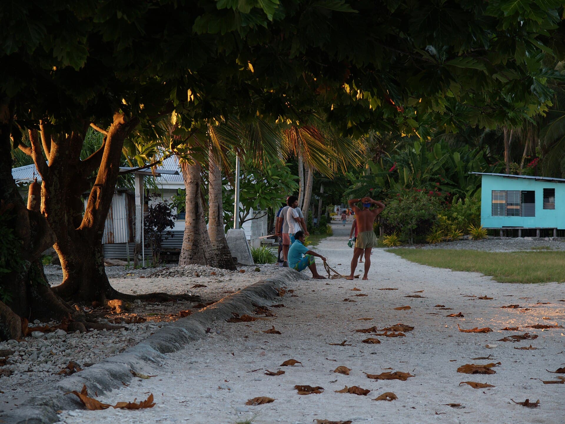The main street of Atafu village, Tokelau, at dawn: a coral-gravel lane between houses under trees, with a group of men gathered to practise canoe paddling