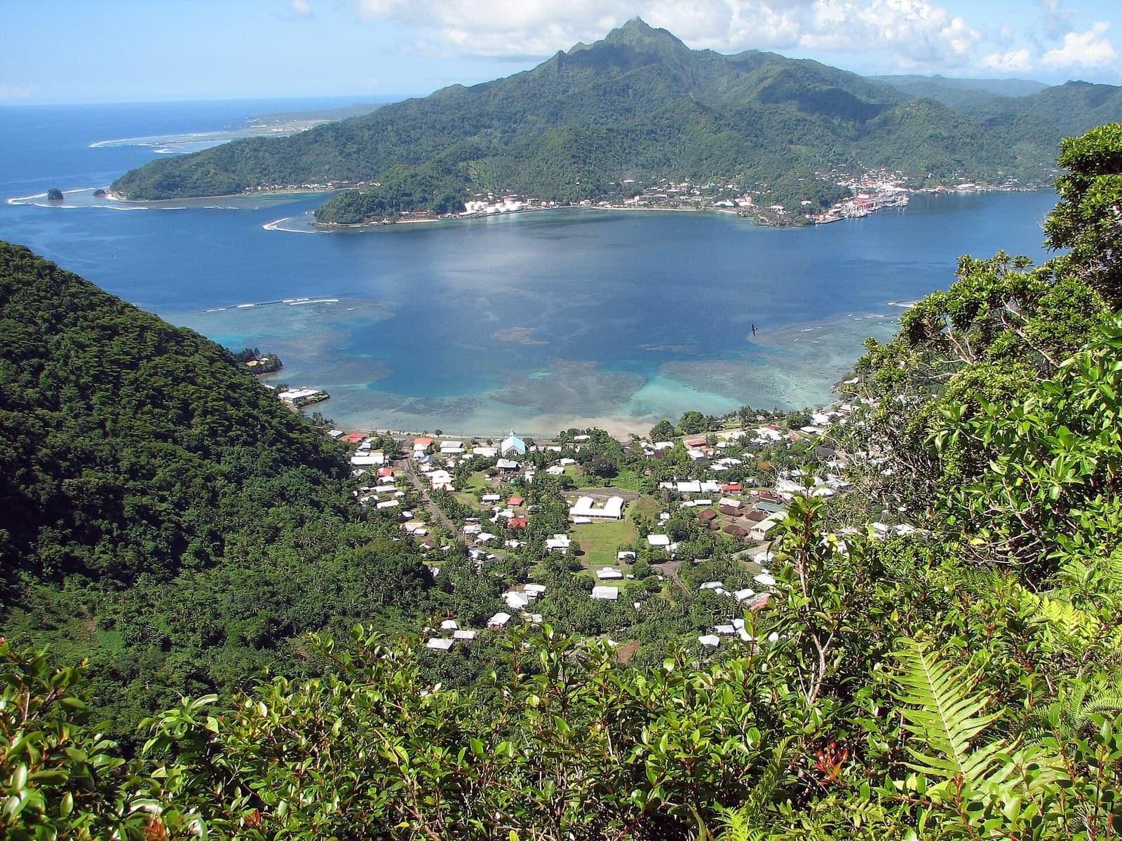 Pago Pago Harbour on Tutuila, American Samoa, seen from a forested ridge, with village houses along the shore
