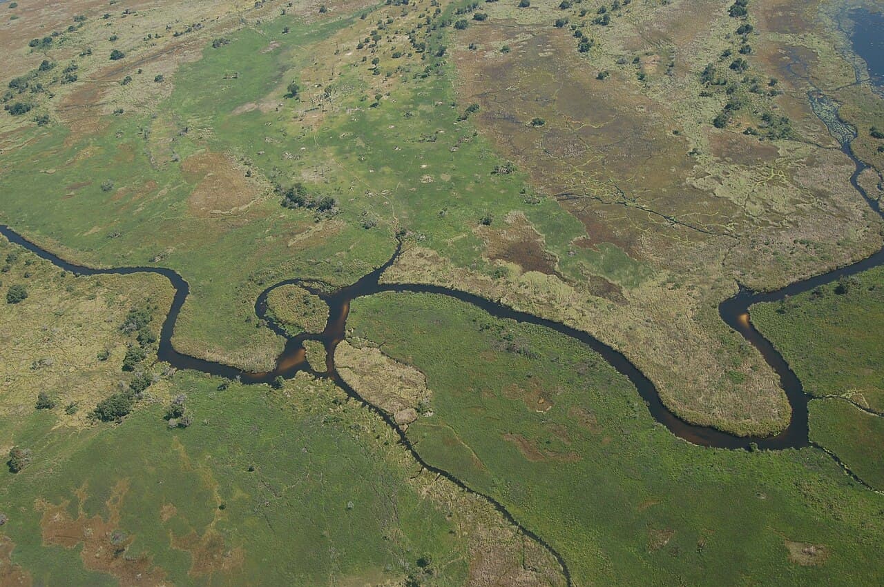 Okavango Delta
