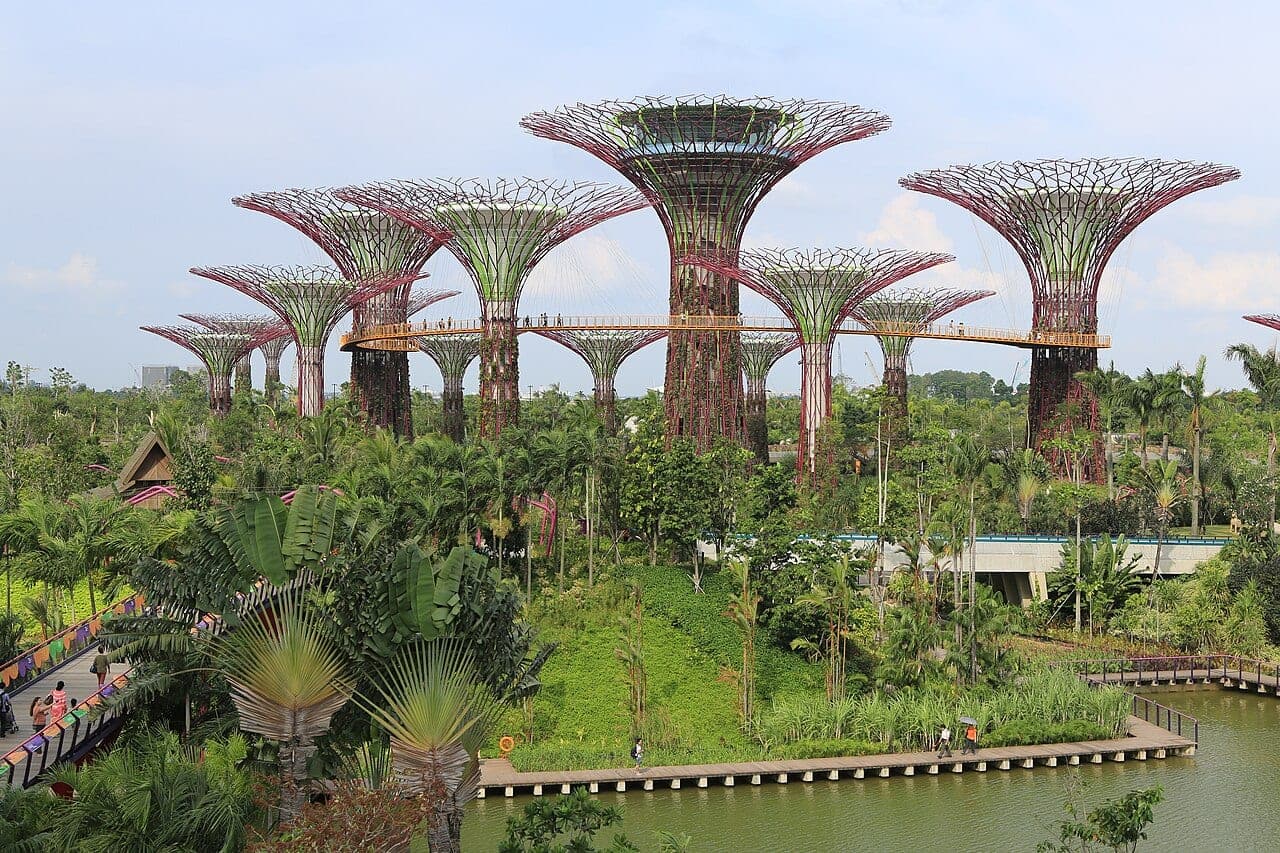 Supertree Grove at Gardens by the Bay, Singapore