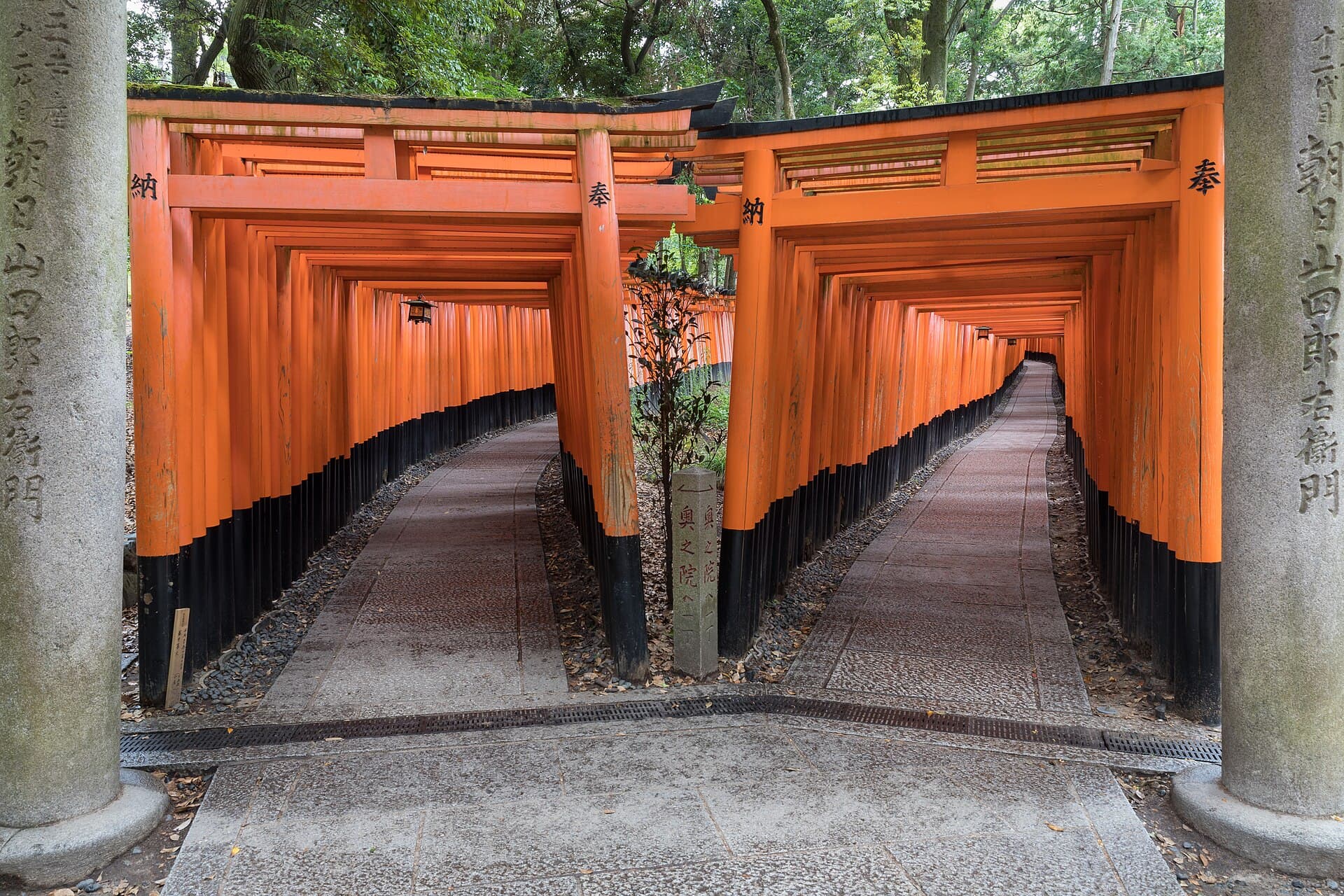 The double torii path at Fushimi Inari-taisha in Kyoto