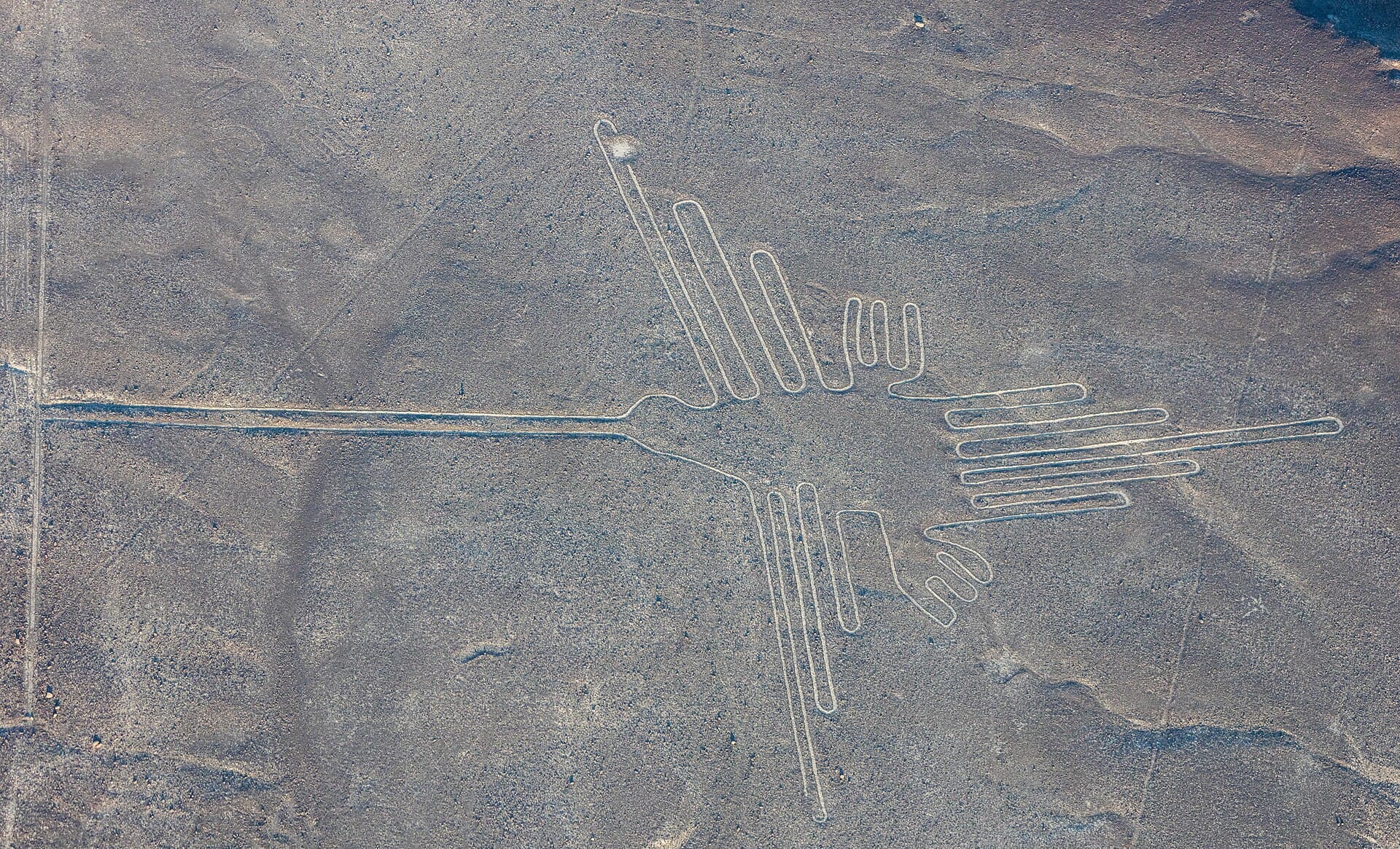 The hummingbird geoglyph of the Nazca Lines from the air