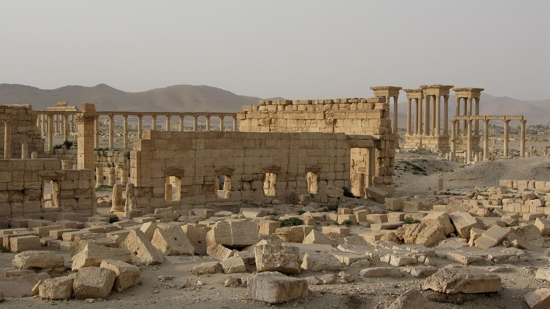 The colonnaded ruins of Palmyra